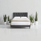 SERENE CURVE UPHOLSTERED BED