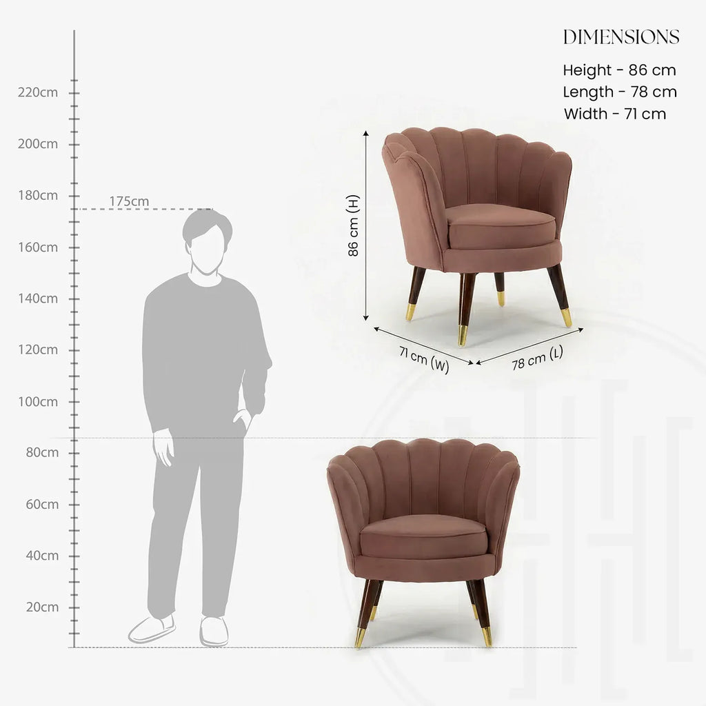 CLARA  SHELL LUXURY ACCENT CHAIR - Set of 2